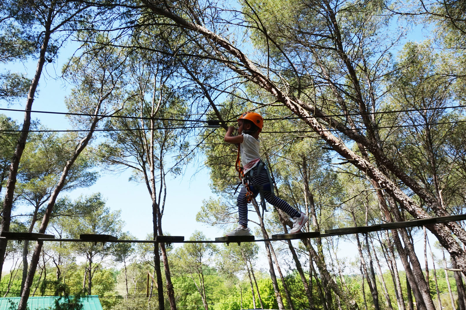 Treetop adventure courses in Provence @ Storm