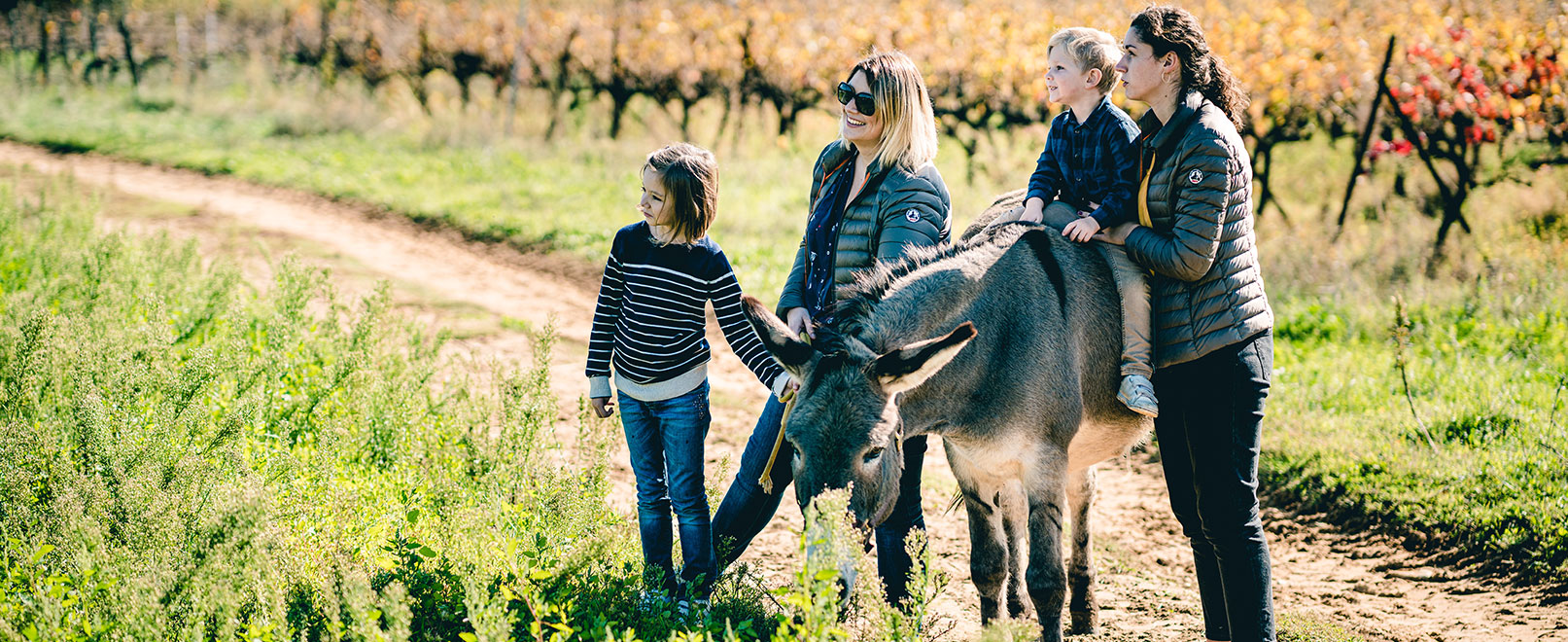 Walk with Donkey © O’Brien