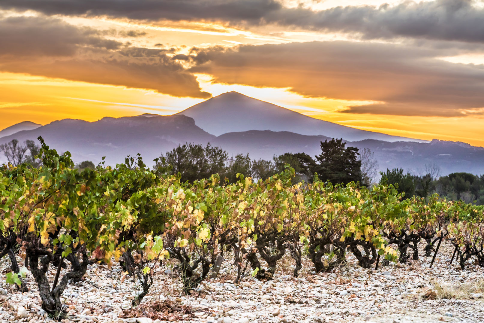 Rhône Valley vineyards © Kessler