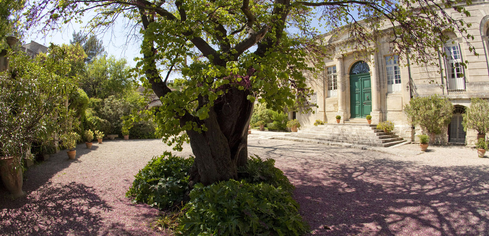 Abbaye st André Villeneuve lez Avignon @ Maynard