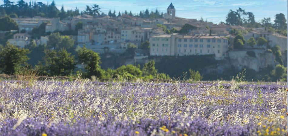 Sault in Provence