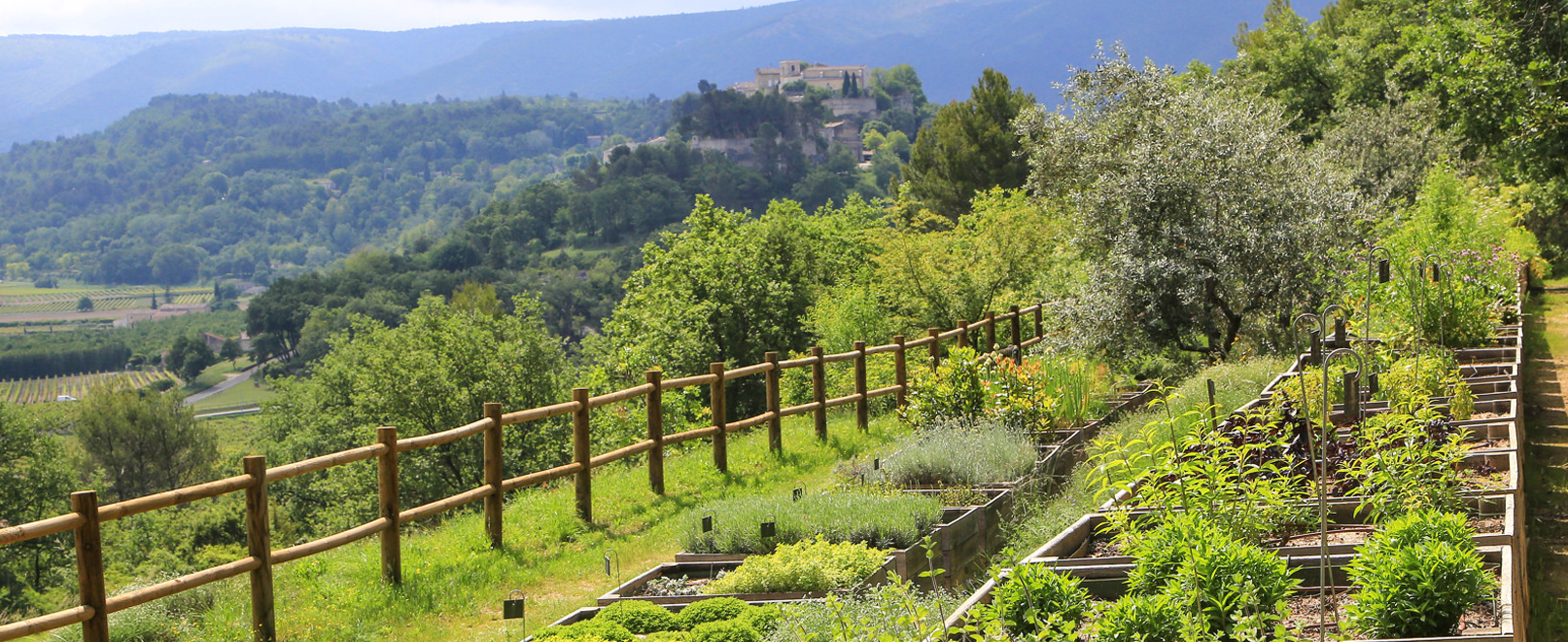 Domaine de La Citadelle © Hocquel