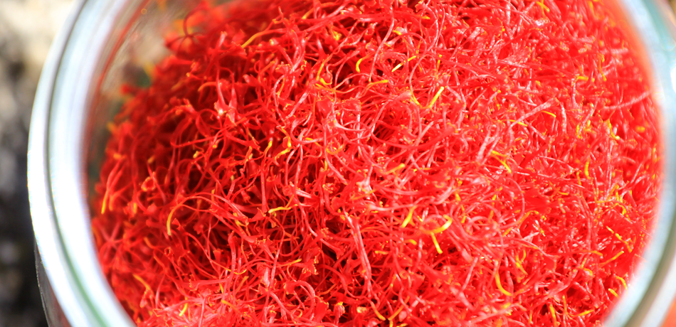Saffron, Red Gold of Provence