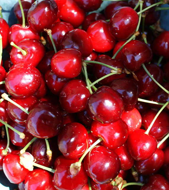 The array of cherry varieties