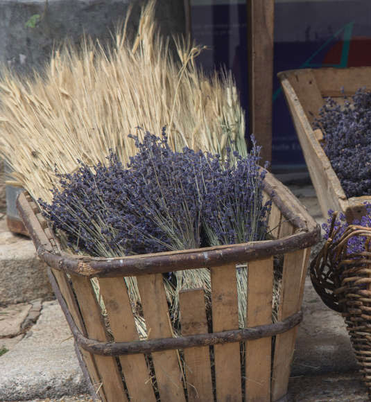 fine lavender, lavender aspic, and lavandi