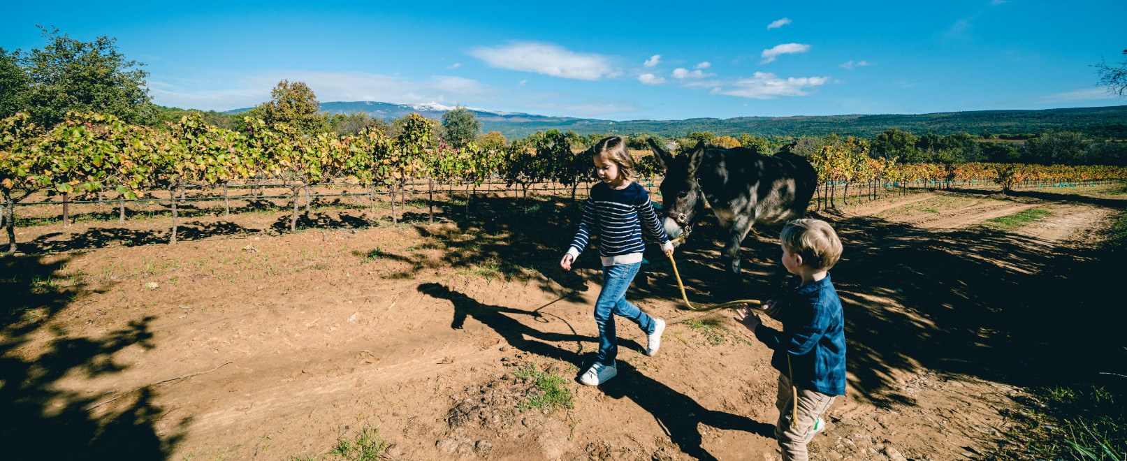 Experiences in Provence © O’Brien