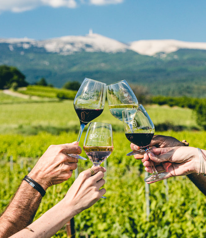The best ideas for different ways to discover vineyards