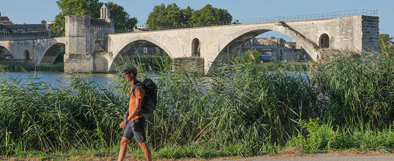 3 ideas for hikes around Avignon  © Genestal