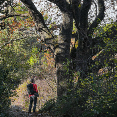 Hiking around the Ancient Monastery of Prébayon