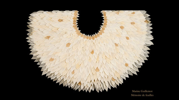 Exposition "Mémoire de feuilles" au musée-bibliothèque Pétrarque